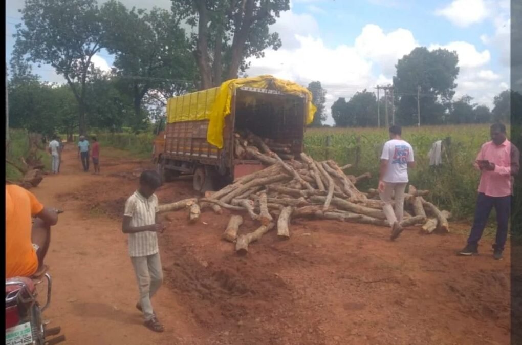 जमानी सर्किल में पापड़ा लकड़ी से भरा ट्रक जब्त