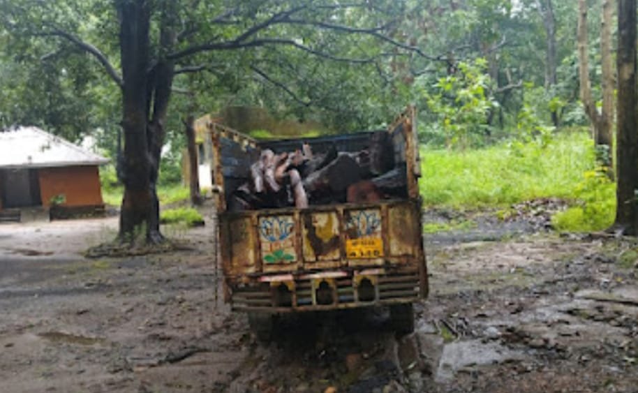 अवैध लकड़ी का किया जा रहा था परिवहन, वन विभाग ने किया जप्त