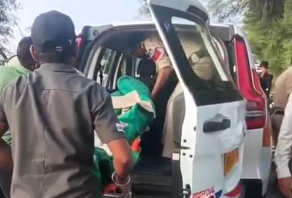 ट्रक पलटा, राहगीर की मौत, ट्रक की चपेट में आये दो बैल ने भी दम तोड़ा