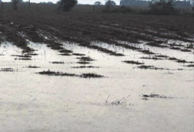 बारिश से किसान चिंतित