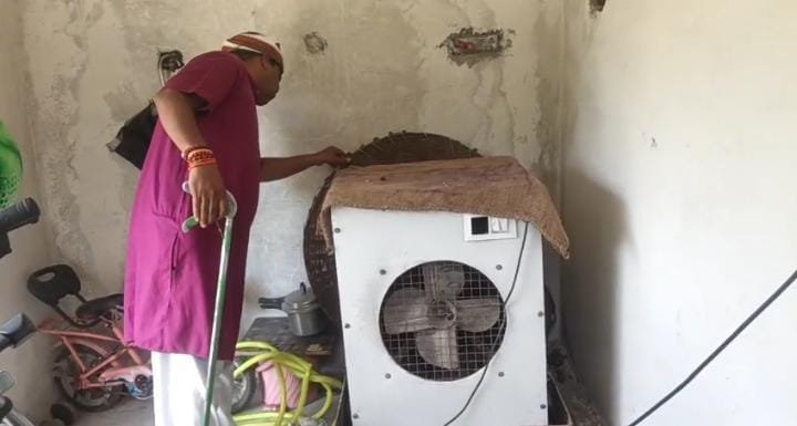 मेंढ़क का शिकार कर कूलर में छिपा था आठ फीट लंबा धामन सांप