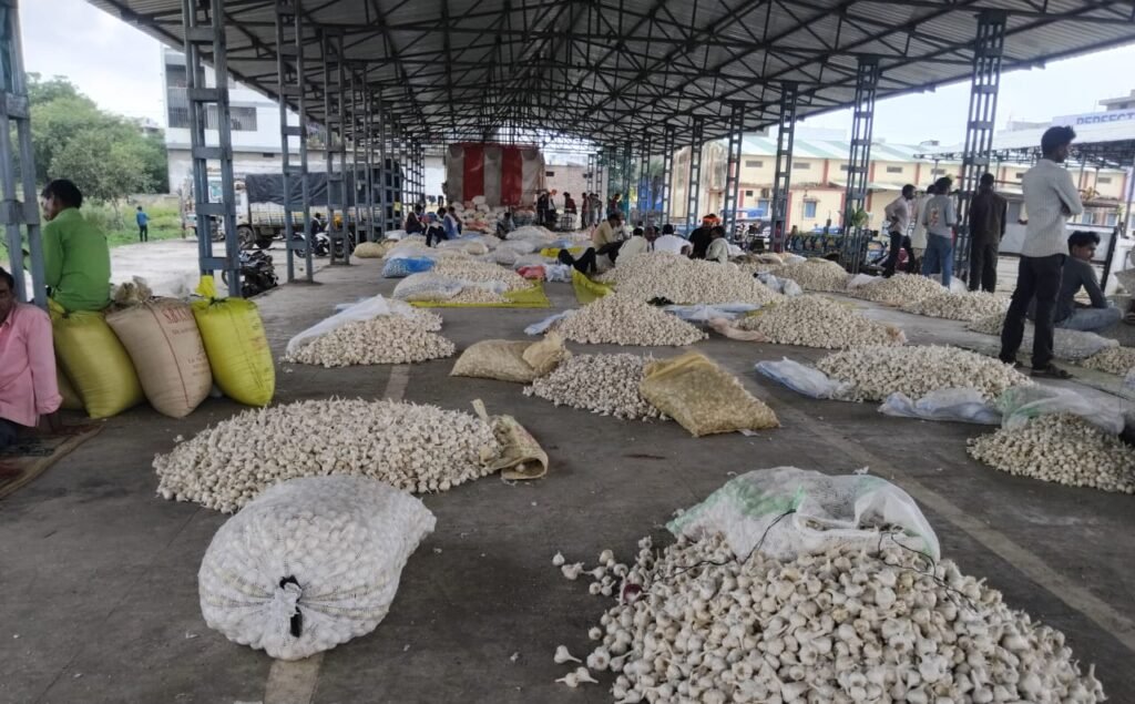 किसानों को सुविधा, मंडी की आय बढ़ी दिनों दिन बढ़ रही लहसुन प्याज की आवक