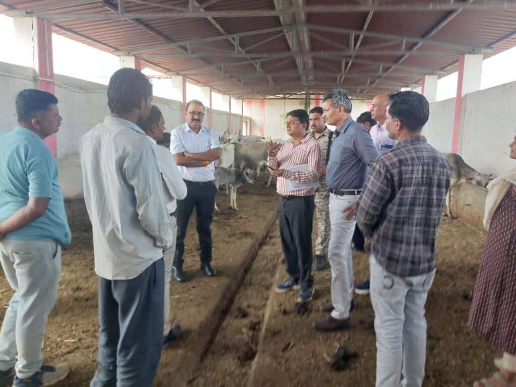 गौवंश सुरक्षा पर प्रशासन सख्त:चारा, पानी और चिकित्सा व्यवस्था सुनिश्चित करो