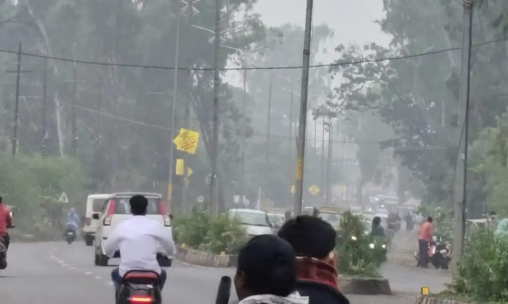 ठंडी हवाओं और कोहरे से बढ़ी सर्दी, बेमौसम बारिश से किसानों की चिंता बढ़ी