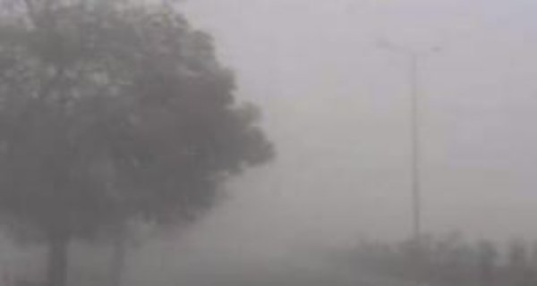 सांची में शीतलहर का कहर, ठंडी हवाओं और बौछारों से जनजीवन प्रभावित