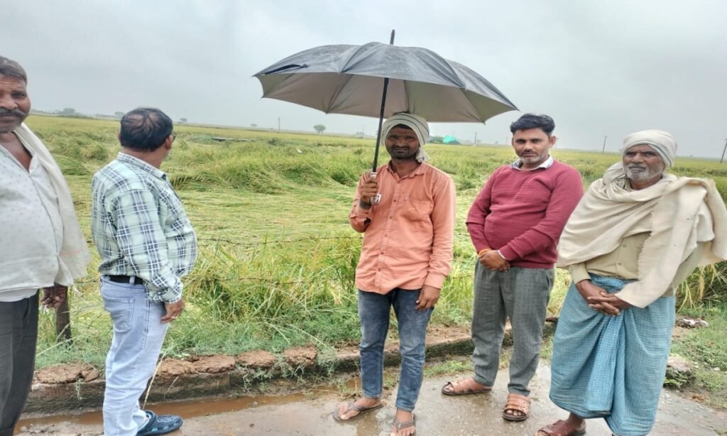 जिले की सभी तहसीलों में बेमौसम बारिश से प्रभावित फसलों का सर्वेक्षण