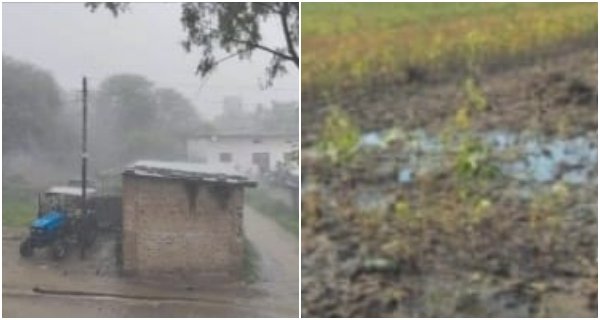 सिरोंज-गंजबासौदा क्षेत्र में बदला मौसम का मिजाज: कहीं किसानों के लिए राहत, तो कहीं मुसीबत बनी बारिश