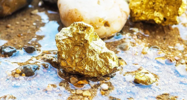 तरबेला बांध के नीचे $636 अरब का सोना? पाकिस्तान के पूर्व वरिष्ठ उपाध्यक्ष का दावा, सरकार और सेना में मचा हड़कंप 