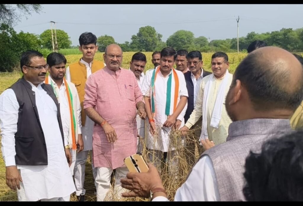 वरिष्ठ कांग्रेस नेताओं ने खेतों पर पहुंच कर फसलों को हुए नुकसान को देखा, किसानों की पीड़ा सुनी