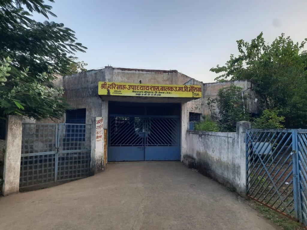 20 साल बाद मिला शिक्षक, दो हफ्ते में तबादला! भौरासा के विद्यार्थियों का भविष्य अधर में