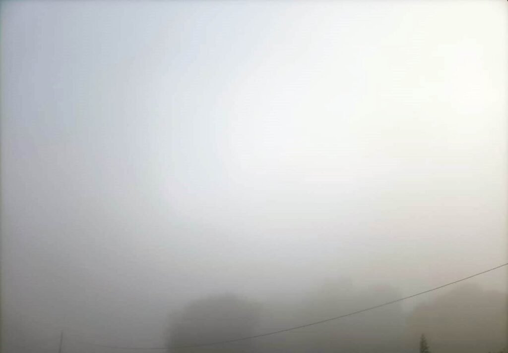 कोहरे की धूंध, ठण्ड ने बढ़ाई सिहरन
