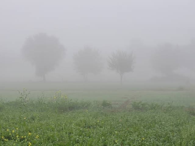 छतरपुर में बढ़ी सर्दी, घने कोहरे ने बढ़ाई दिक्कतें