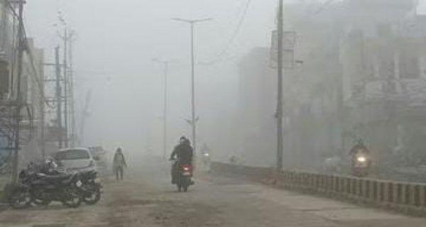 श्योपुर में छाया सीजन का पहला घना कोहरा:दृश्यता 100 मीटर तक घटी