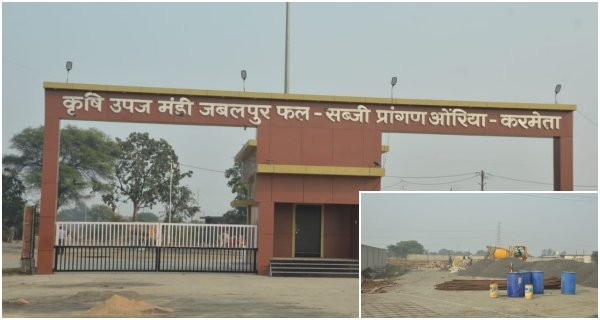 136 दुकानों में होगी किसानों से मटर की खरीदी