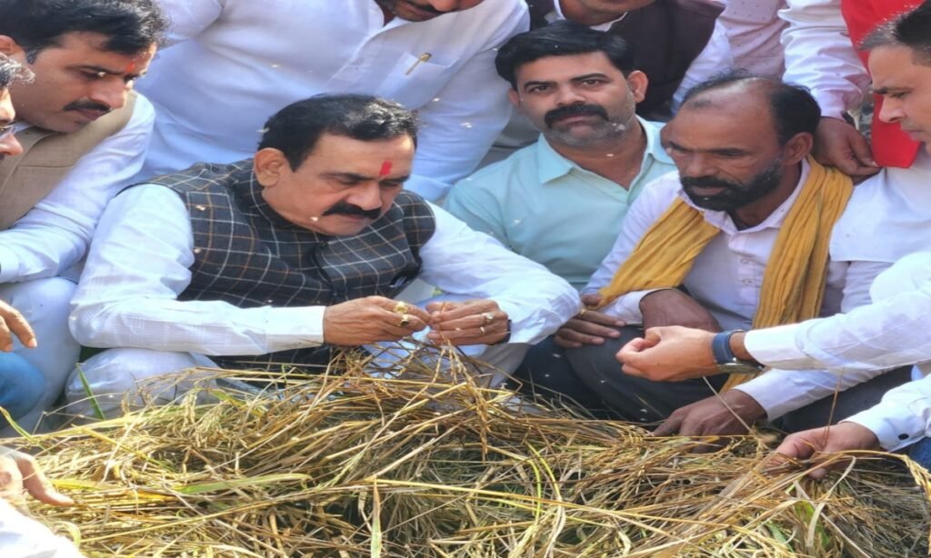 डॉ नरोत्तम मिश्रा ने अतिवृष्टि से प्रभावित गांवों का दौरा किया