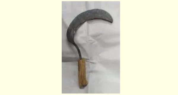 हंसिया से युवक पर वार