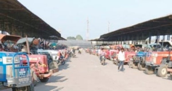 कृषि उपज मंडी में सोयाबीन की बंपर आवक, 300 से अधिक ट्रालियों का पंजीयन; मक्का के कम दाम से किसान निराश
