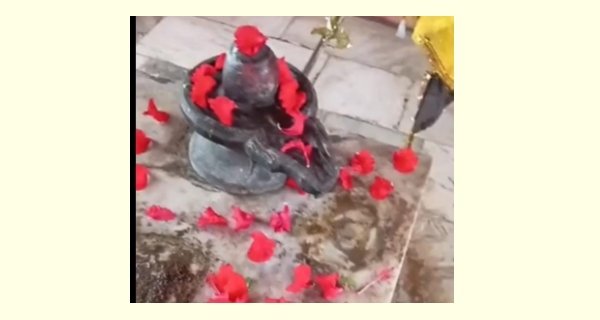 शिव मंदिर में मूर्तियां खंडित मिलीं, शिवपुरी के मारौरा अहीर गांव की घटना