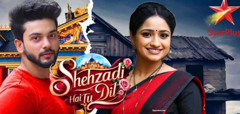 स्टार प्लस के शो शहज़ादी है तू दिल की का नया प्रोमो रिलीज़