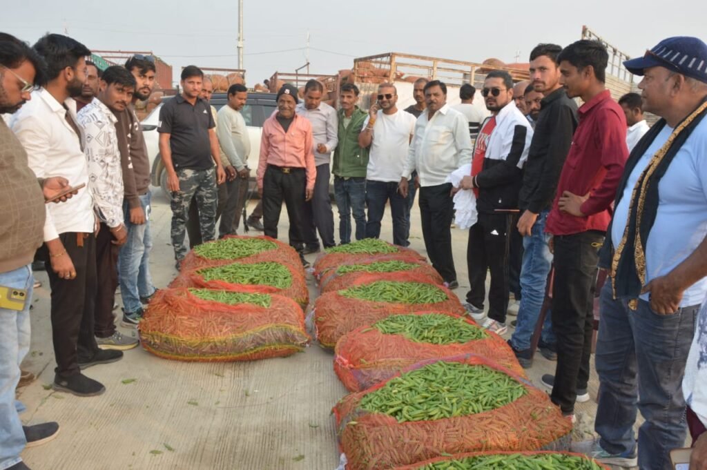 नवीन मंडी में शुरू हुआ मटर का व्यापार, किसानों का हुआ फूल- माला से स्वागत 
