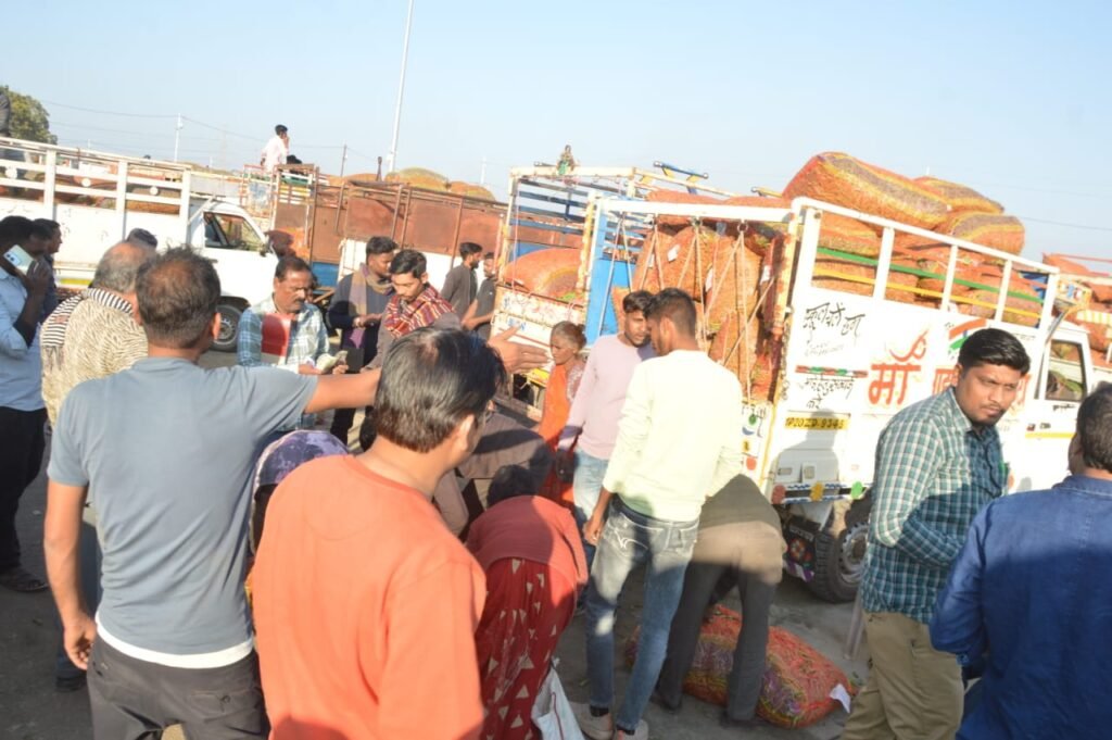 मटर मंडी में बढ़ी आवक, सुबह से उमड़ी भीड़