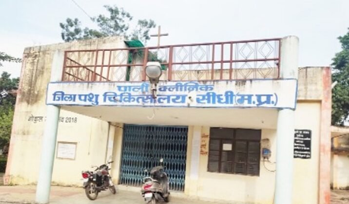 पशु चिकित्सको की कमी से पशुओं का इलाज प्रभावित