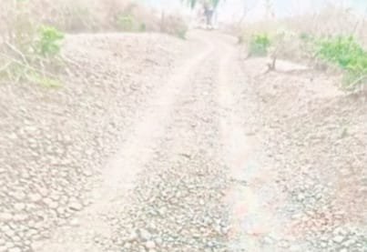 दाऊद बासौदा पंचायत तक पहुंच मार्ग न होने से ग्रामीण परेशान