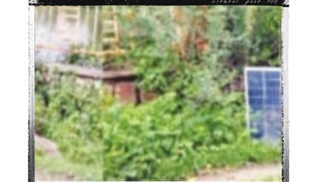 देश की पहली सोलर सिटी सांची का सपना टूटा, करोड़ों खर्च के बाद भी अंधेरे में डूबा नगर