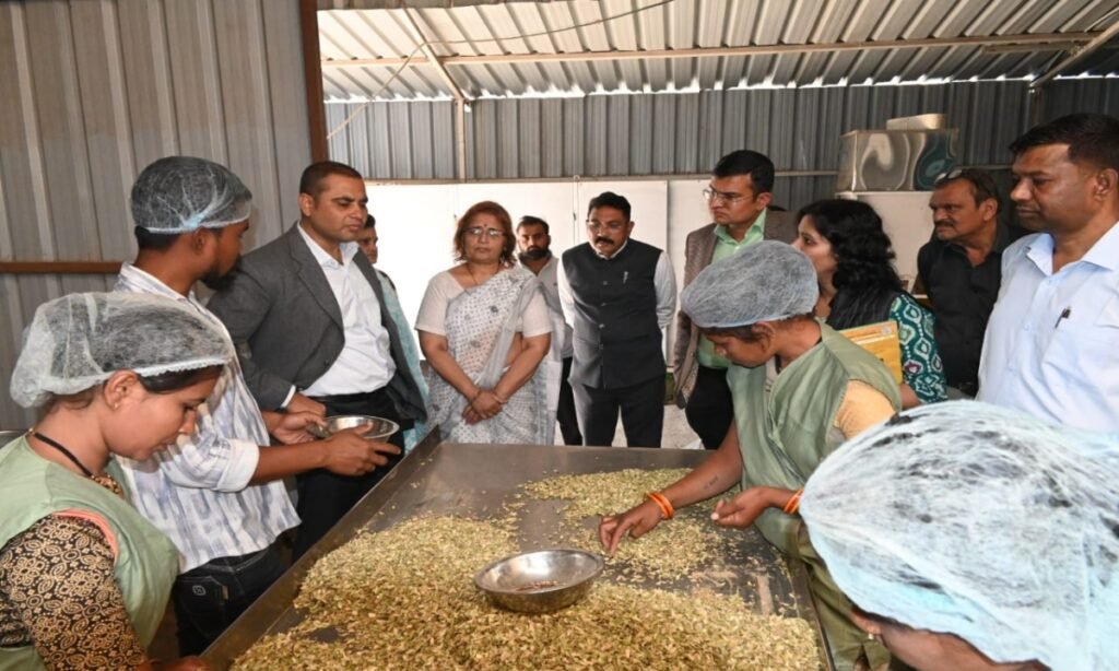 कलेक्टर व सीईओ ने एग्रो प्रोसेसिंग यूनिट और संभागीय हाट बाजार का किया निरीक्षण