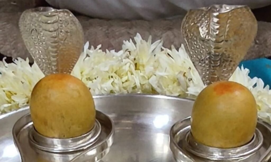 सोमनाथ ज्योतिर्लिंग के अवशेष बैतूल पहुंचे, रामकृष्ण बगिया में दर्शन