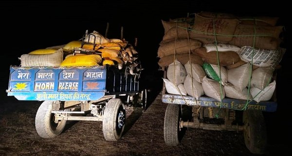 चितरंगी में अवैध धान परिवहन पर कार्रवाई: दो ट्रैक्टर के साथ 75 क्विंटल धान जप्त