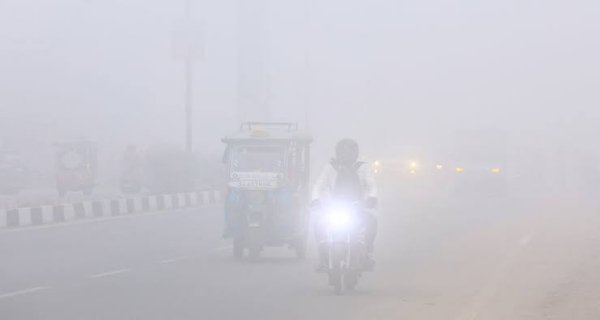 छतरपुर में सुबह-सुबह कोहरे की चादर, ठंड ने बढ़ाई परेशानी विजिबिलिटी 1 किमी तक सिमटी