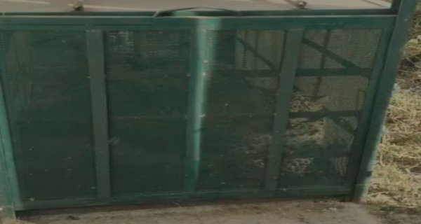 सहारा सिटी के रहवासियों की दहशत हुई खत्म,तेंदुआ हुआ कैद