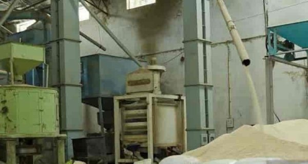 जांच के घेरे में फंसे मिलर हुए फिर सक्रिय