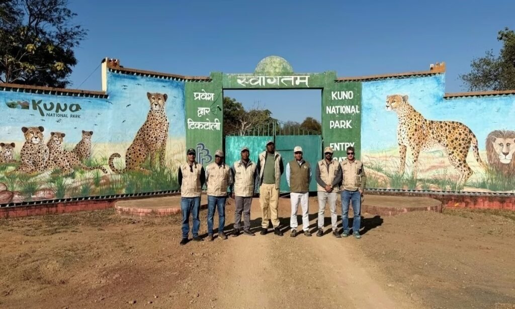 बोत्सवाना के दल ने कूनो पार्क में तैयारियों का लिया जायजा, आने हैं आठ और चीते