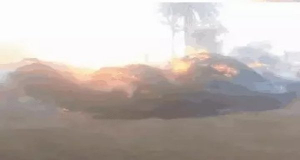 कोलारस में किसान के खेत में लगी आग, एक लाख से ज्यादा नुकसान