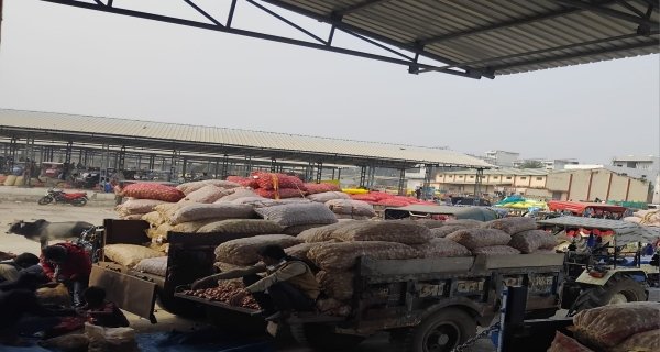 मंडी में प्याज की खरीदी पर ग्रहण: फिलहाल नहीं होगी तीन दिन नीलामी