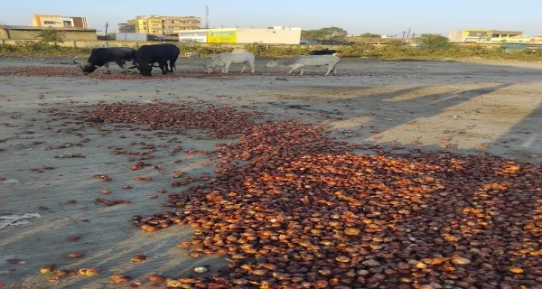 प्याज के कम भाव को लेकर मंडी में हंगामा