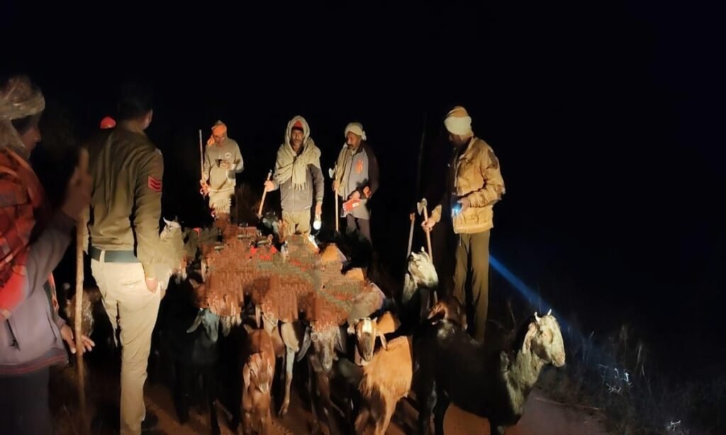 मारकुंडी से छीनी बकरी मझगवां के जंगल मे छोड़ी