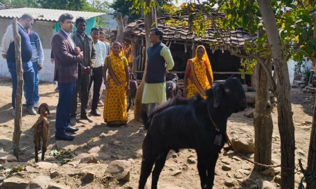 कलेक्टर विश्वकर्मा ने सांची विकासखण्ड के रमपुरा बघेडी का किया भ्रमण