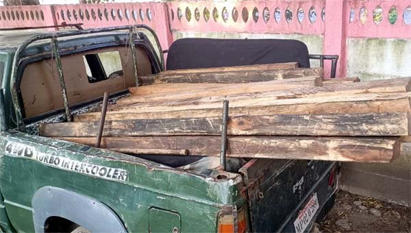 छापामार कार्यवाही में अवैध सागौन बरामद