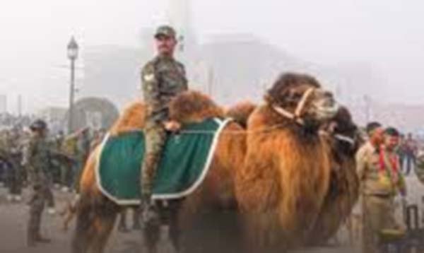 सेना प्रमुख ने सेना के दो बैक्ट्रियन ऊंटों, दो ज़ांस्कारी टट्टुओं और दो सैन्य श्वानों काे सम्मानित किया