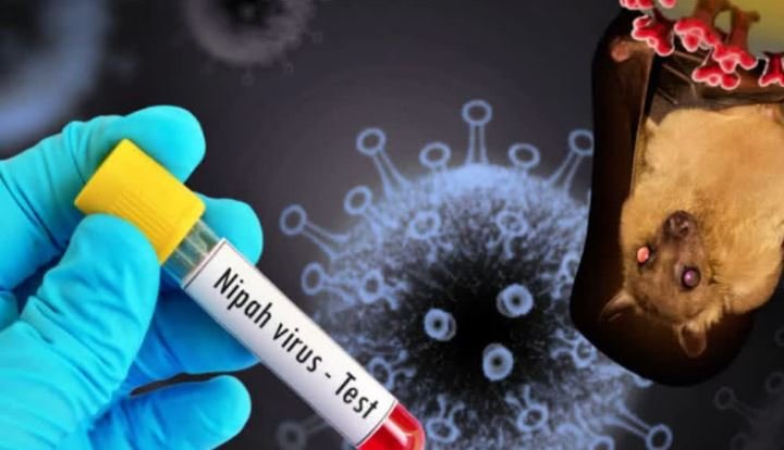 ऑस्ट्रेलिया में निपाह वायरस के प्रकोप पर कड़ी नज़र: स्वास्थ्य मंत्री
