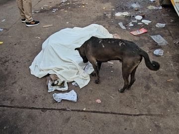 छतरपुर बस स्टैंड पर इंसानियत शर्मसार: अज्ञात व्यक्ति का शव दो घंटे तक बस स्टैंड पर पड़ा रहा