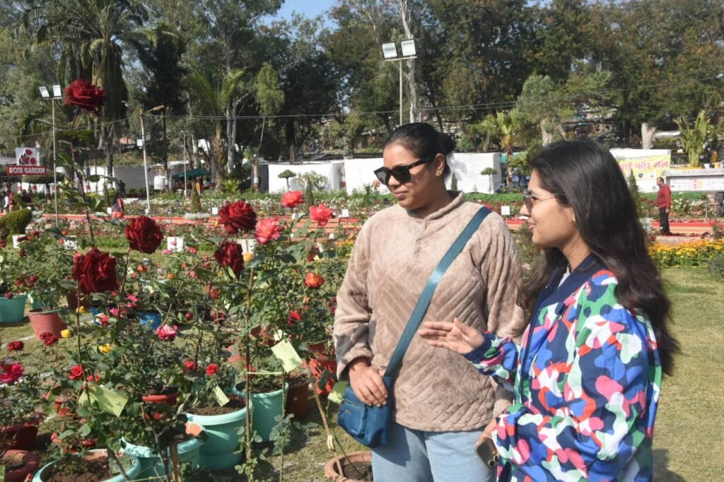 गुलाब उद्यान में गुलाब प्रदर्शनी की तैयारी शुरू