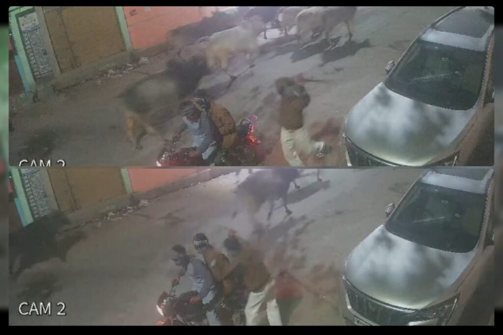 रात में कारें फोड़ने वाले तीन बाल अपराधियों को पुलिस ने पकड़ा, 2 फरार