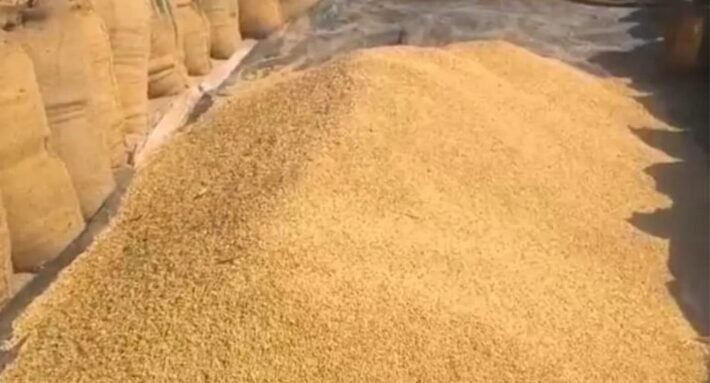 चिलरी खरीदी केन्द्र से किसानों की लाखों की धान गायब