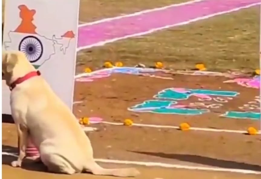 गणतंत्र दिवस पर लैब्राडोर कुत्तों का तिरंगे को सलाम, सोशल मीडिया पर वीडियो वायरल