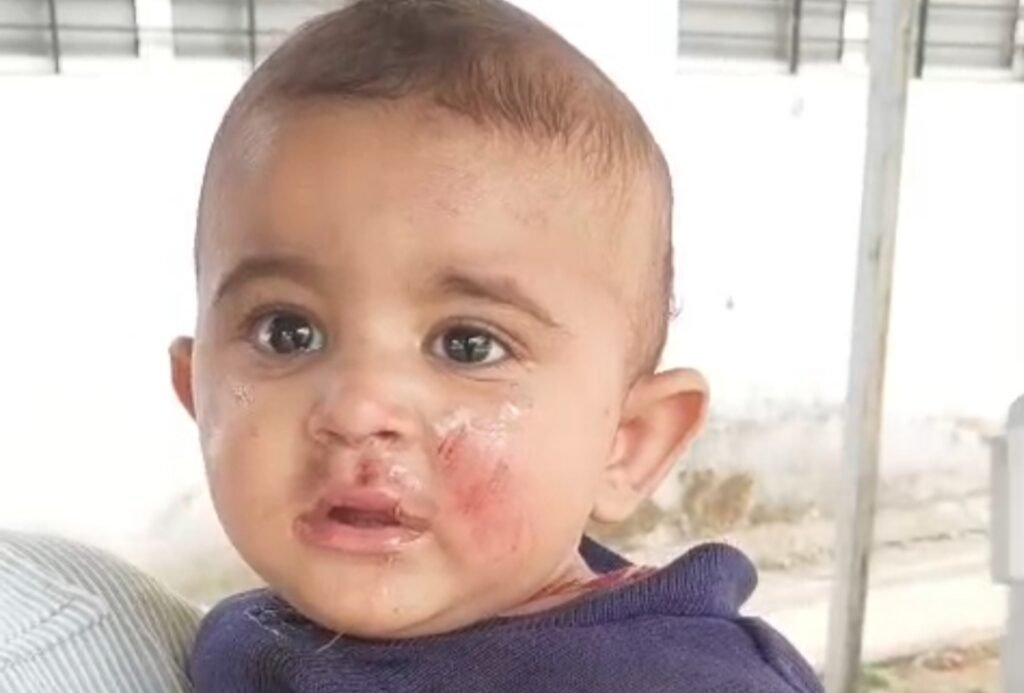 बैतूल सड़क हादसा: तेज रफ्तार ट्रक की टक्कर से मां की मौत, गोद में सात माह का मासूम चमत्कारिक रूप से सुरक्षित