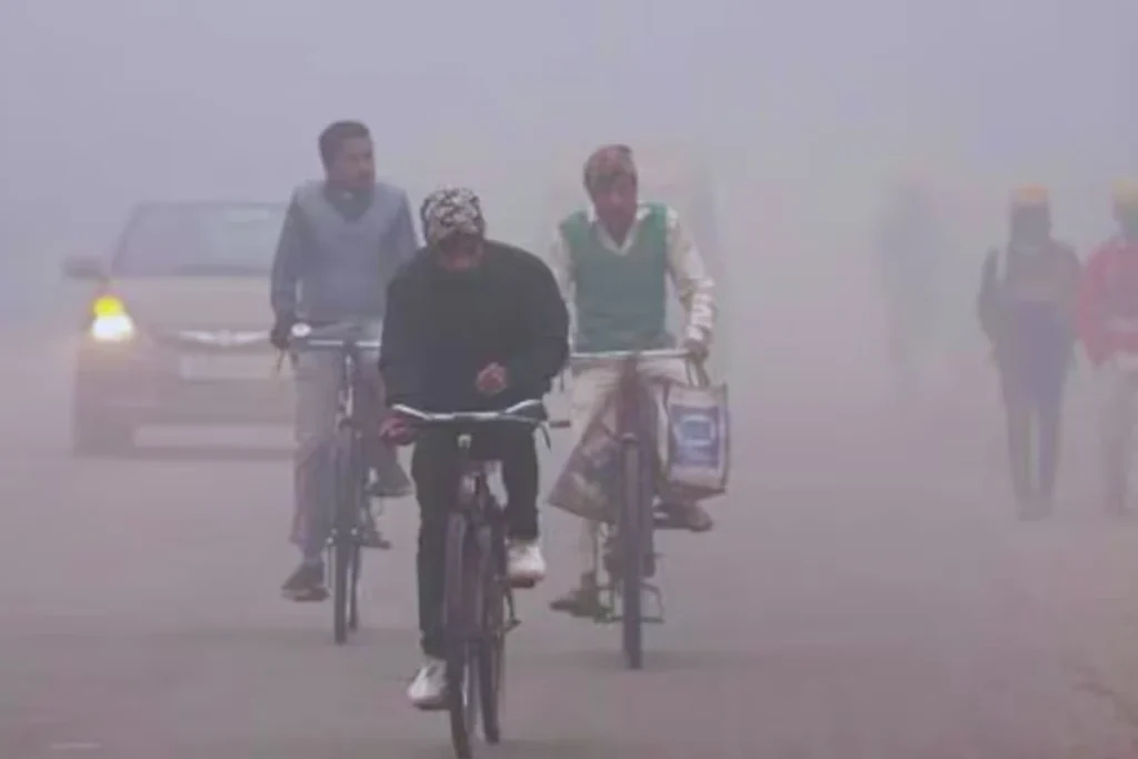 मावठा की बूंदाबांदी के बाद कोहरा और बढ़ी गलन भरी ठंड
